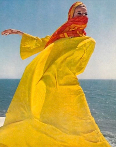 Clips Veruschka