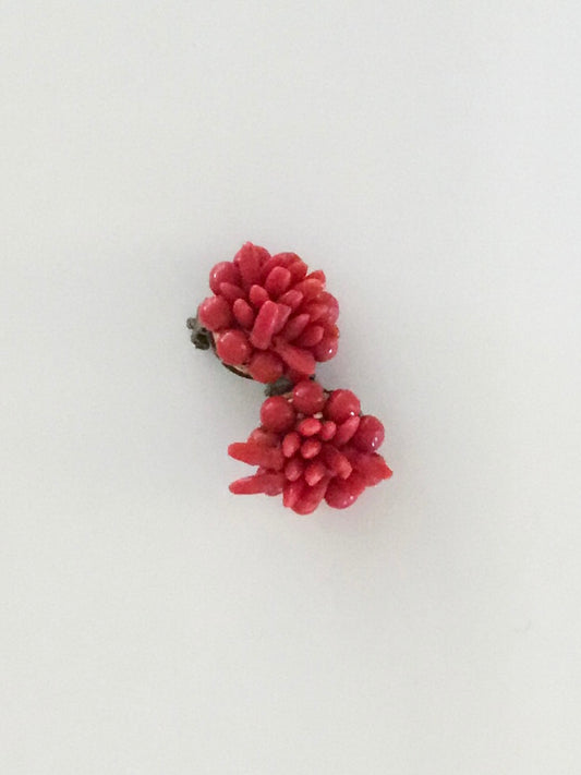 Clips Corail