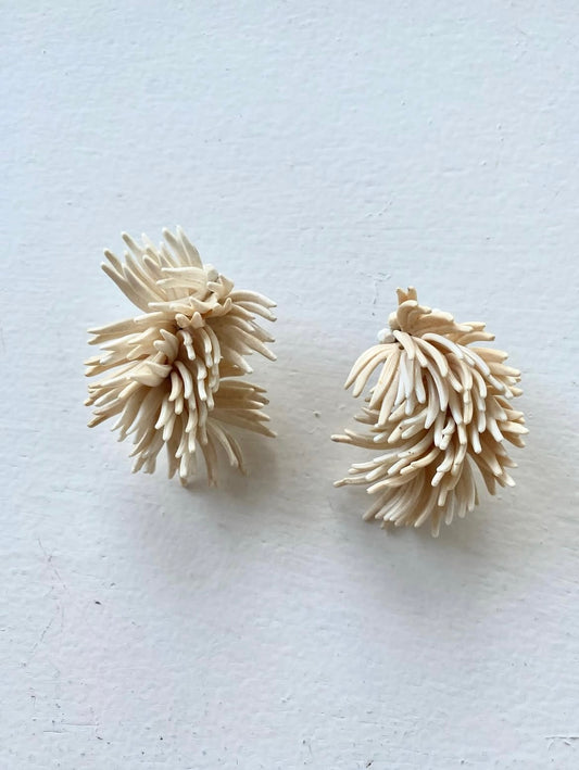 Clips anémones