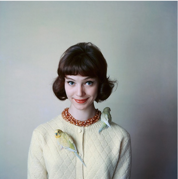 Bird brooch