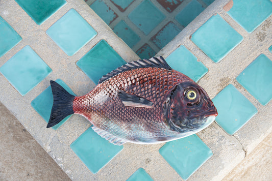 Plat poisson