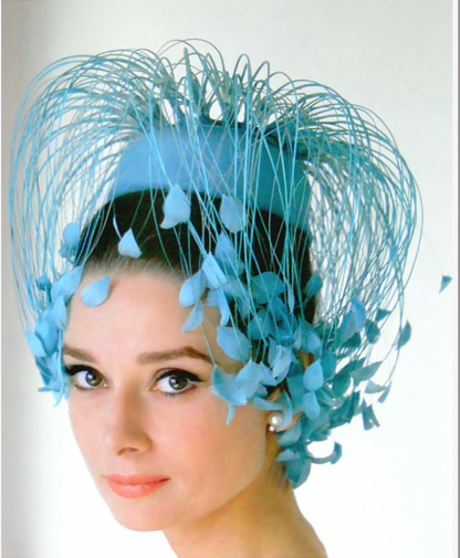 Clips Audrey Bird