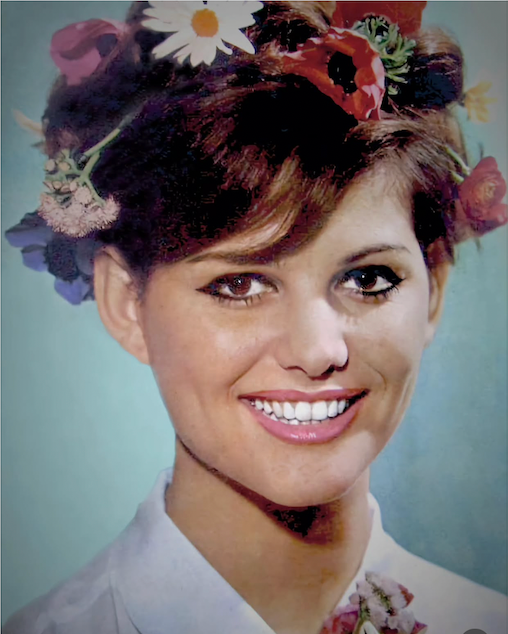 Clips lilas Claudia