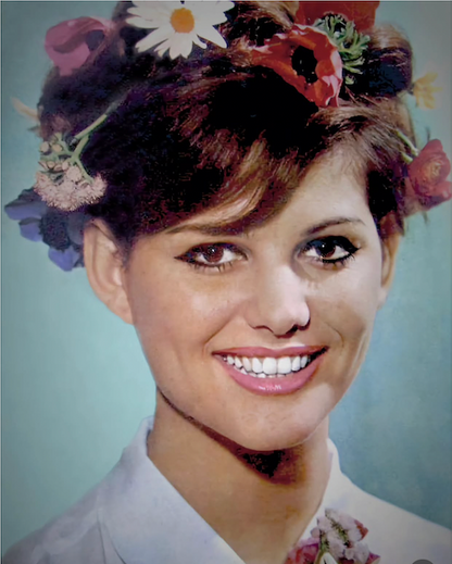 Clips lilas Claudia