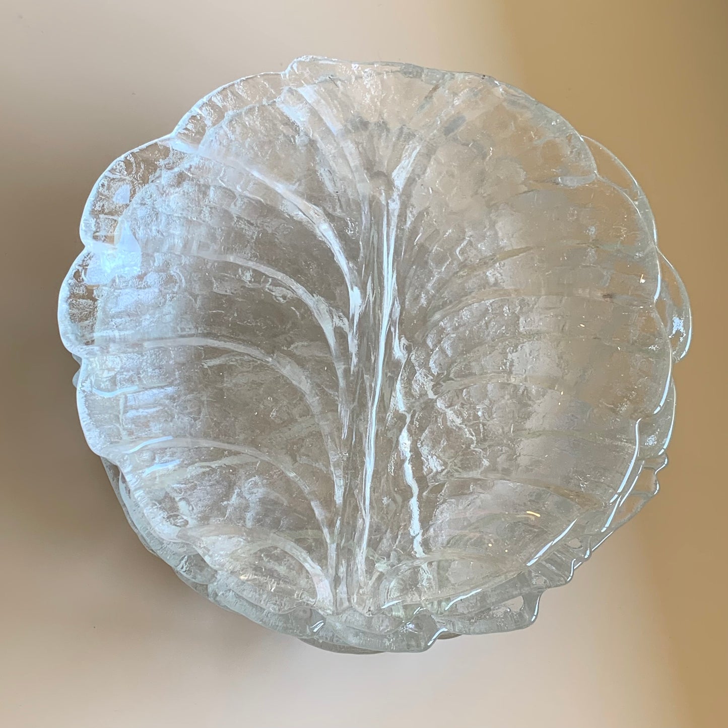 6 assiettes feuilles en verre