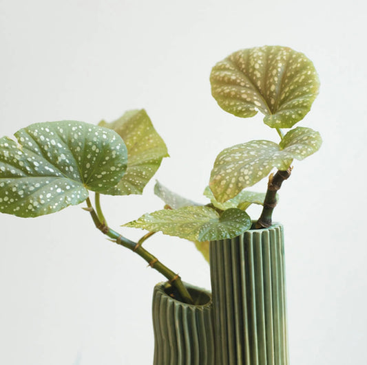 Tulumba Vase