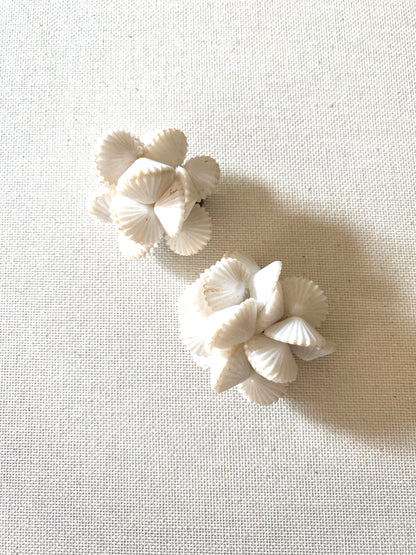 Clips coquilles saint jacques